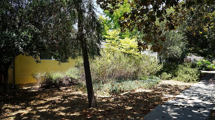 shr DSC01202 shr DSC01202