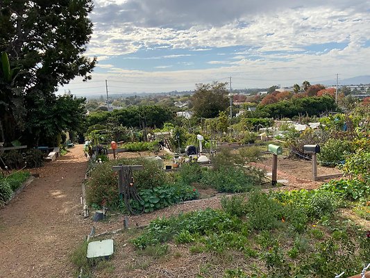 VAL community garden VAL community garden