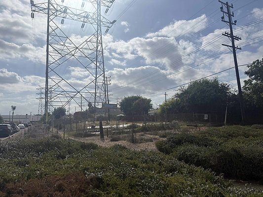 GOOD EARTH COMMUNITY GARDEN - 5540 Boden ST (Culver City)