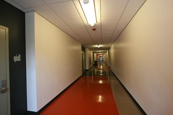 UNIVERSAL-A042-CC-38